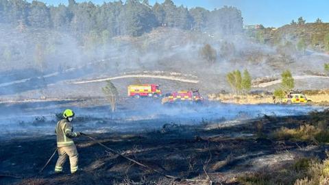A firefighter is putting out a fire in a countryside. Two fire engines can be seen in the background.