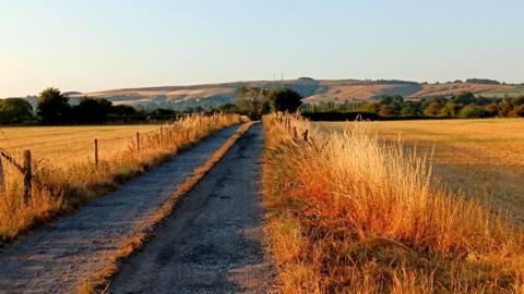 A track runs through dry fields, with hills visible in the distance. The landscape is cast in an orange light, at sunset.