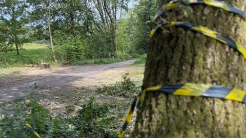 Black-and-yellow tape has been tied around another tree near the accident scene.
