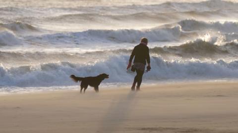 A person walking a dog on a windy beach, with waves coming in from the sea.