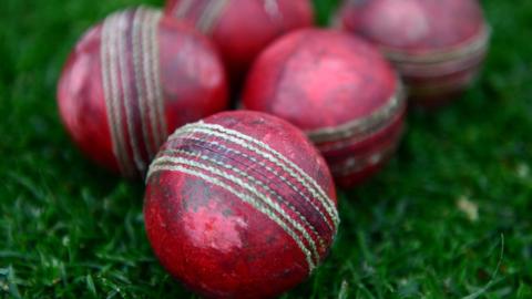 Cricket balls