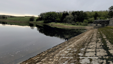 Images shows part of the bank down into the reservoir, there is a dog stood on the edge of the water. Trees line the right side of the water. 