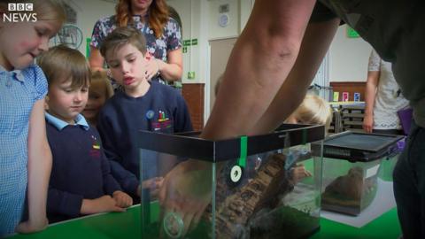 Pupils get up close to a spider