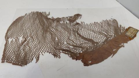 3,500-year-old lion cloth