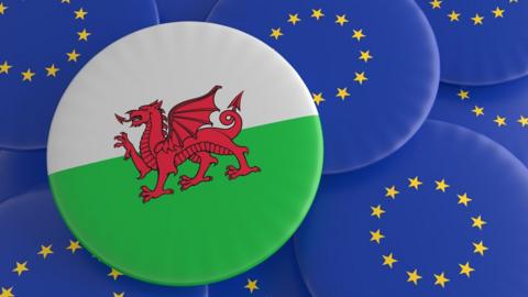Welsh flag and EU badges