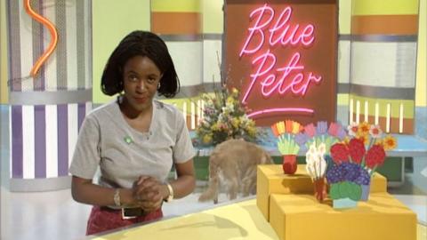 Diane-Louise Jordan next to handmade flower pot cards.