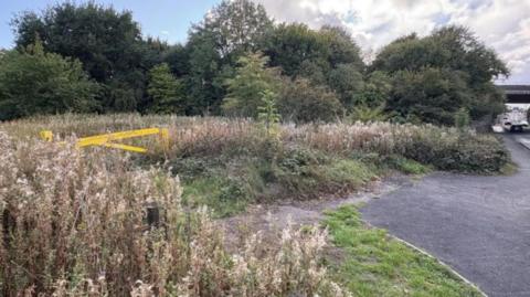 An area of grassland next to Tame Road. In the background there are trees that go from the left to virtually the far right on the photo.