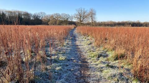 Sonning Common, South Oxfordshire with frost on the ground and clear blue skies above.