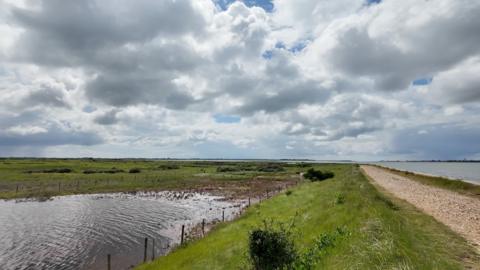 Grey and white clouds hide glimpses of blue sky above an open area of grazing marsh with water in the foreground and a gravel path disappearing into the distance