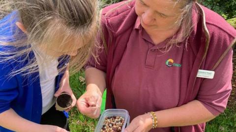 A woman wearing a maroon fleece and polo shirt is showing seeds in a tupperware to a young girl. The girl is wearing a white T-shirt and a blue cardigan and is looking at the seeds and holding a little flower pot with some soil in. 