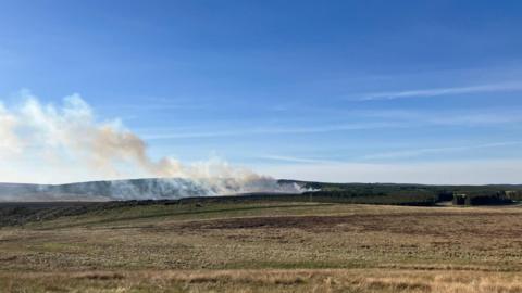 Plumes of white smoke billow from a forest. There are fields in the foreground.