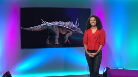 Nina on the Newsround set