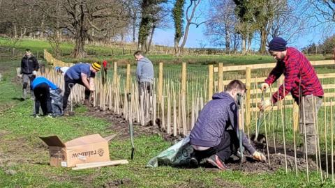 A row of volunteers digging and planting trees on a sunny day. A spade can be seen wedged in the ground. 