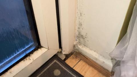 Mould by a door