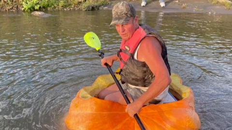 A man riding in a giant pumpkin down the river.