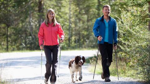 Two people and a dog walking with sticks