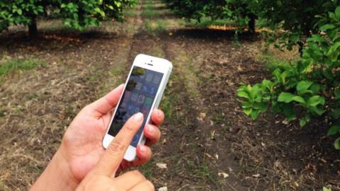 A person on a mobile phone in a field