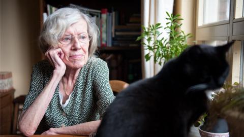 Elderly woman looking at her cat