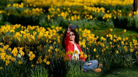 Woman takes a selfie sitting amongst daffodils in a park