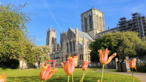 Sunny day in York with a view of the minster and tulips in the foreground