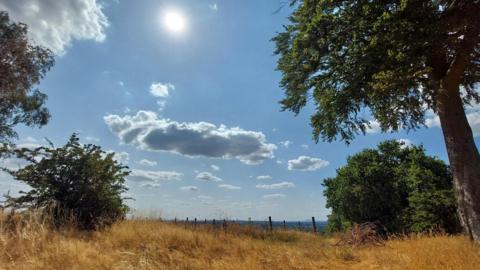 Sun shines amid a blue sky with patchy cloud above a yellowy-brown grass field