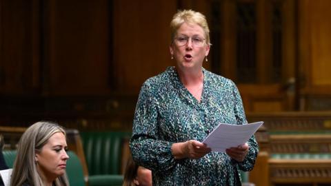 Ann Davies AS yn siarad ar lawr Tŷ'f Cyffredin