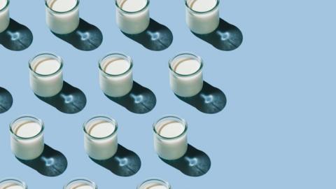 Glasses of milk in lined up on a blue background