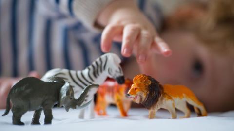 A pre-school child playing with a toy elephant, zebra, tiger and lion. 