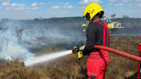 A31 New Forest fire - firefighter with hose spraying water on the heathland.