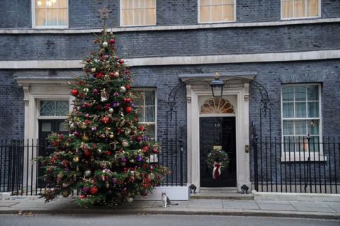 A large Christmas tree is standing outside the door of 10 Downing Street. It is very tall and decorated with red, gold, silver and purple baubles and decorations, as well as lights. There is an unlit gold star on the top of it. Standing next to the tree is Larry the cat, who is a yellow and grey tabby.