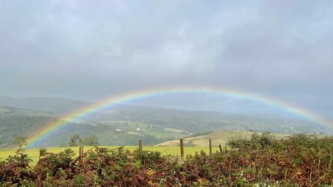 bushes by a netted fence, green hills in distance under a cloudy, grey sky with a rainbow arc