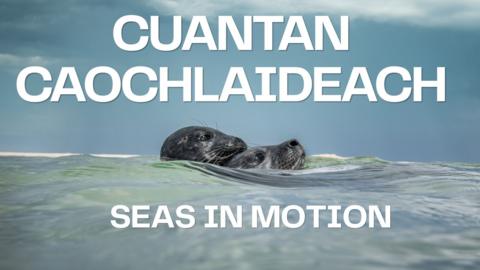 Seals