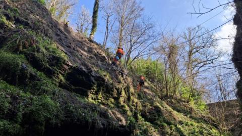 Two people in orange uniform scale down a rock face above the Devil's Cauldron walkway. The face is covered in mud, moss and other vegetation. The sky is largely clear and it is sunny. 