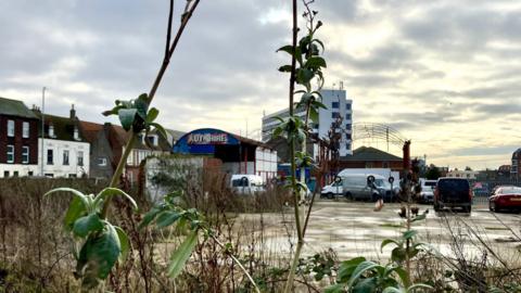 Weeds growing along the edge of what appears to be a car park. Homes and a car garage are in the background.