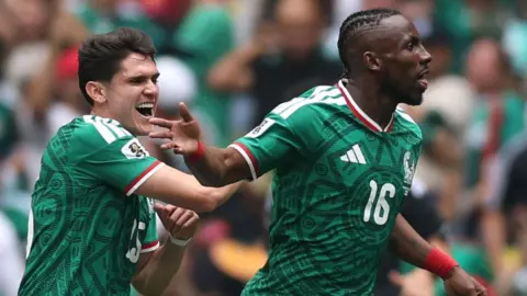 Mexico fan