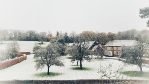 A snowy scene with a light dusting covering a grassy area with a few trees. A house and buildings can be seen on the right of the image. The sky is grey.