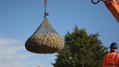 A close-up view of a rock bag being hoisted into the air and put on to a coastline. A tree can be seen in the distance. A worker in an orange hi-vis and hard hat has his back to the camera.