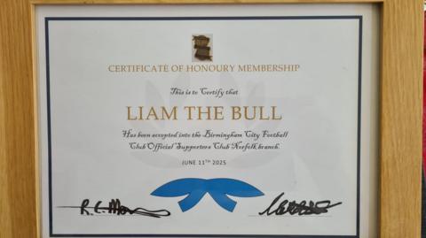 A framed adoption certificate that says certificate of honorary membership of Liam the Bull. 