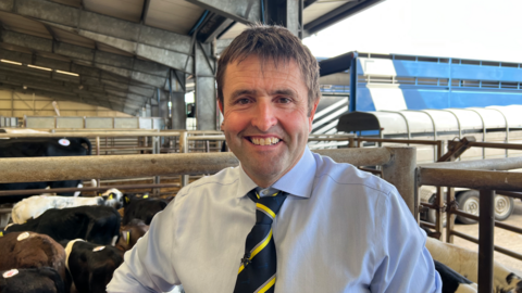 A man with short dark hair, a pale blue shirt and navy tie with yellow stripes in a cattle shed with cows behind him