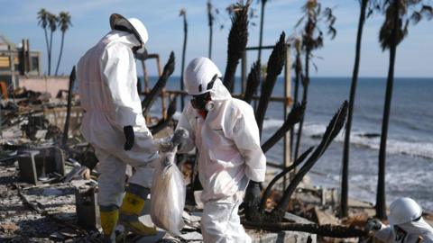 Two people in hazmat suits sift through debris along a beach lined with palm trees