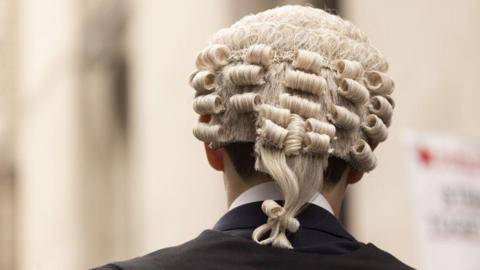 The back of a barrister's head, wearing a typical wig in a stock image.