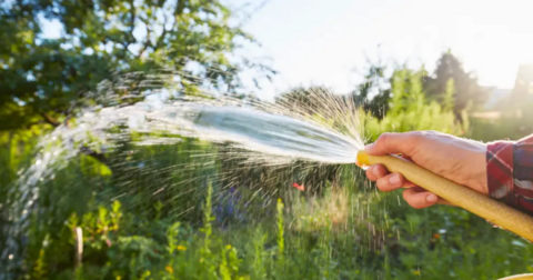 Generic picture of a male hand holding a yellow hosepipe with water pumping out.
