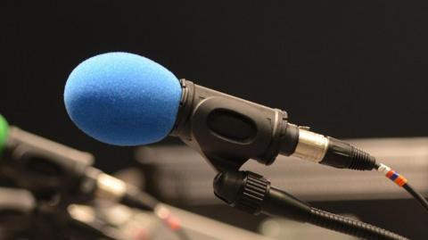 Generic image of a blue muff on a microphone satnd against a dark background.