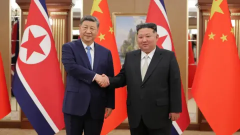 Xi and Kim shaking hands