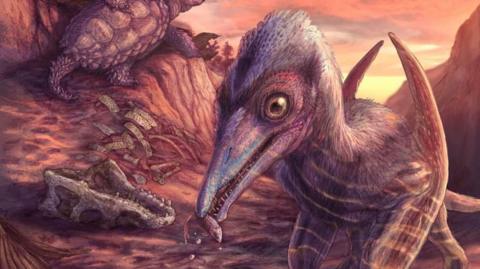 Cartoon image showing he new pterosaur