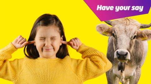 A young girl wearing a yellow jumper with her fingers in her ears, behind her is a cow wearing a cowbell. In the top right is a graphic that reads 'have your say'. 
