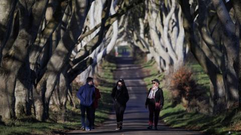 Three people stroll down a small country lane as large beech trees with long branches hang over their heads.