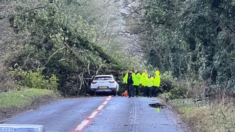 Emergency services attending scene of tree falling on car