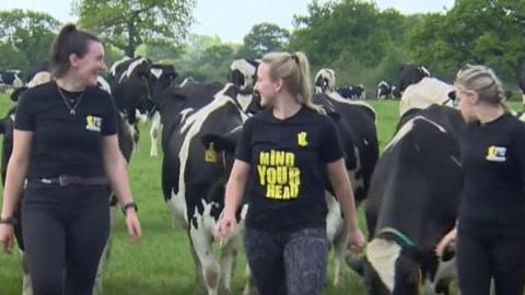 farmers with cows