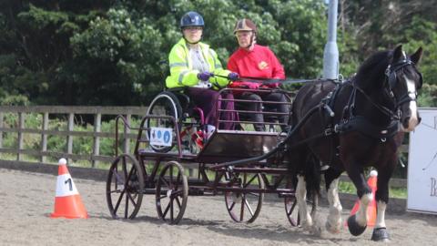 Coach and student driving a pony and trap